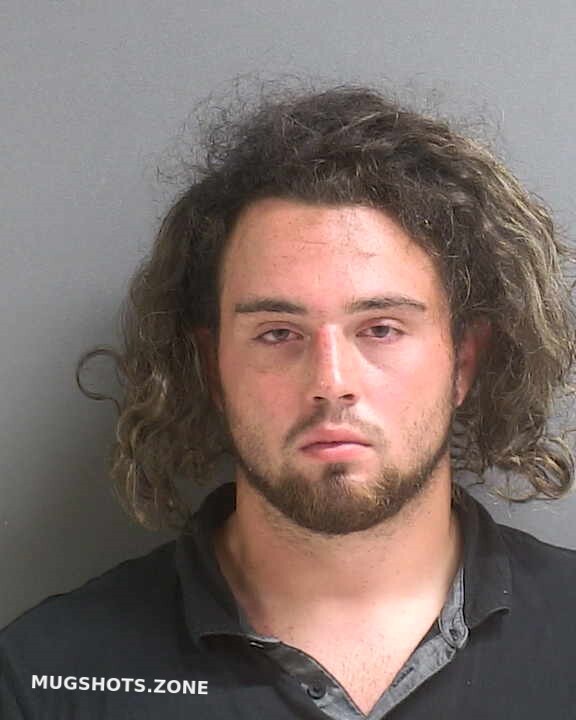 Wallace Nico Ryan Volusia County Mugshots Zone