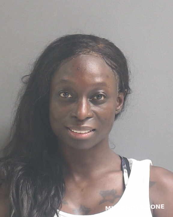 Watson Shayla N Volusia County Mugshots Zone