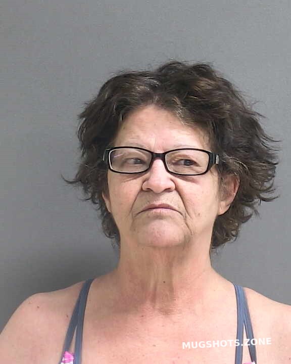 Walendy Christine Volusia County Mugshots Zone