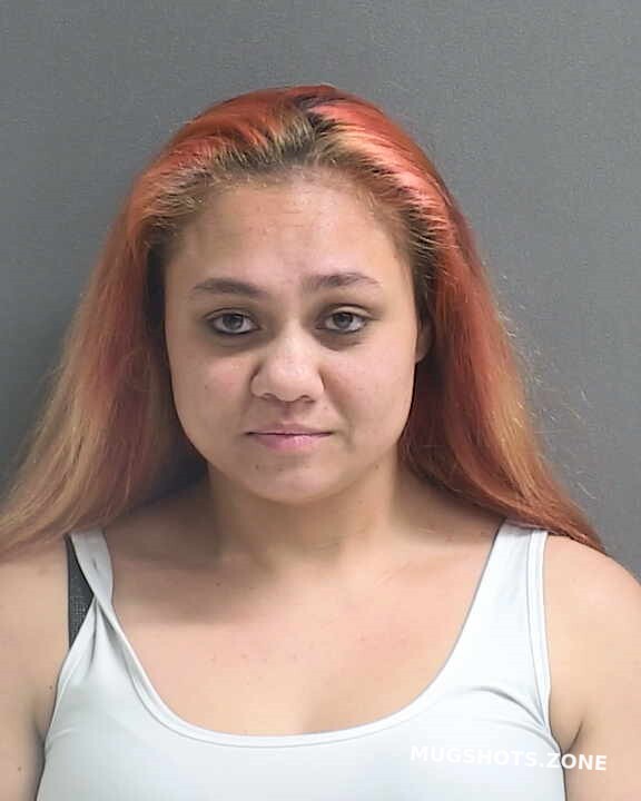 Phanmaha Nosavanh Katie Ann Volusia County Mugshots Zone