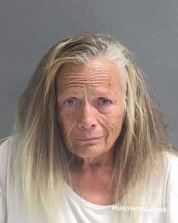 Hatton Cheryl Volusia County Mugshots Zone