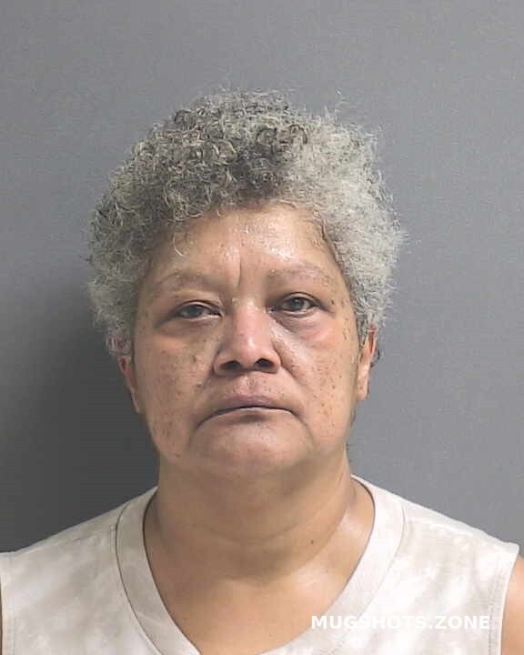 Rodriguez Julie Volusia County Mugshots Zone