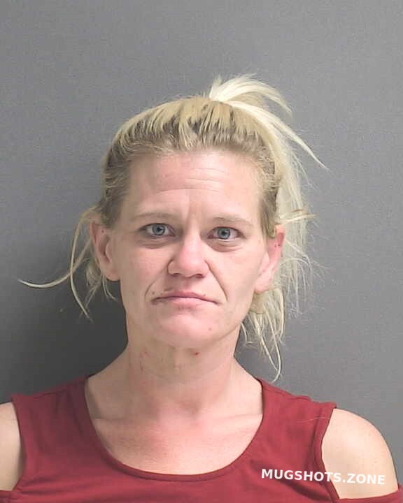 VINSON NICOLE L 02 20 2022 Volusia County Mugshots Zone