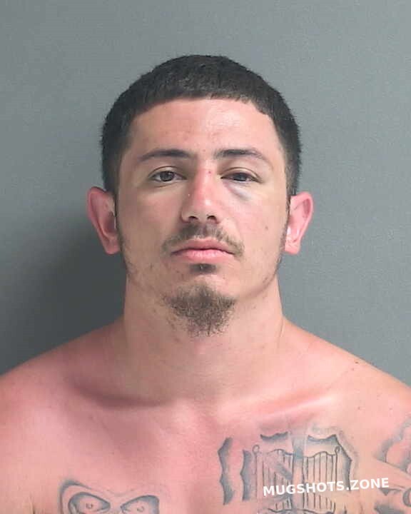 Eichstadt Jake A Volusia County Mugshots Zone