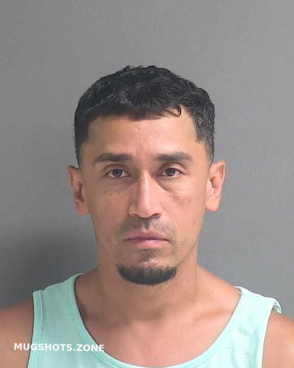 Vergara Aguilar Ronald Alberto Volusia County Mugshots Zone