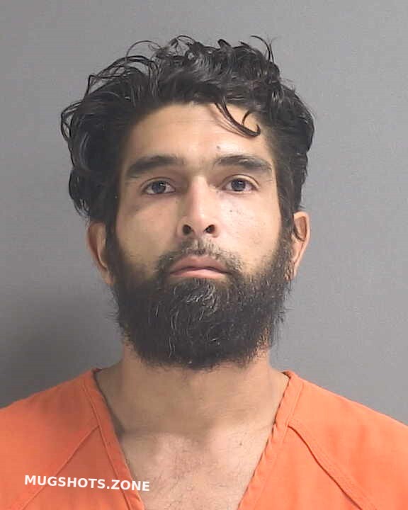 Dominguez Kristian Volusia County Mugshots Zone