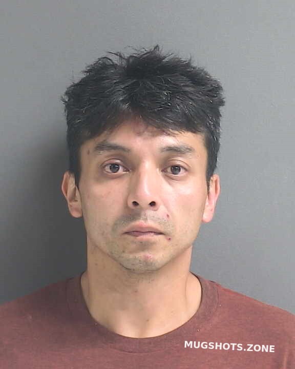 CUELLAR LUIS M 07 02 2022 Volusia County Mugshots Zone