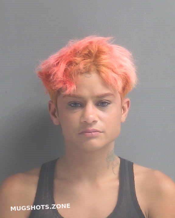 DIAZ DAISY JEAN 09 15 2022 Volusia County Mugshots Zone