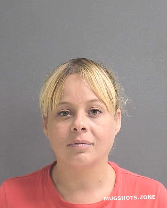 Millan Medina Wanda L Volusia County Mugshots Zone