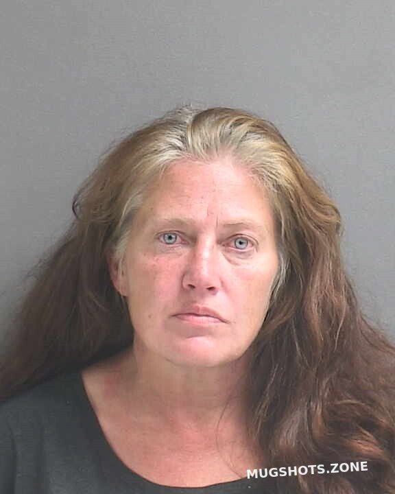 Statkus Cathy J Volusia County Mugshots Zone