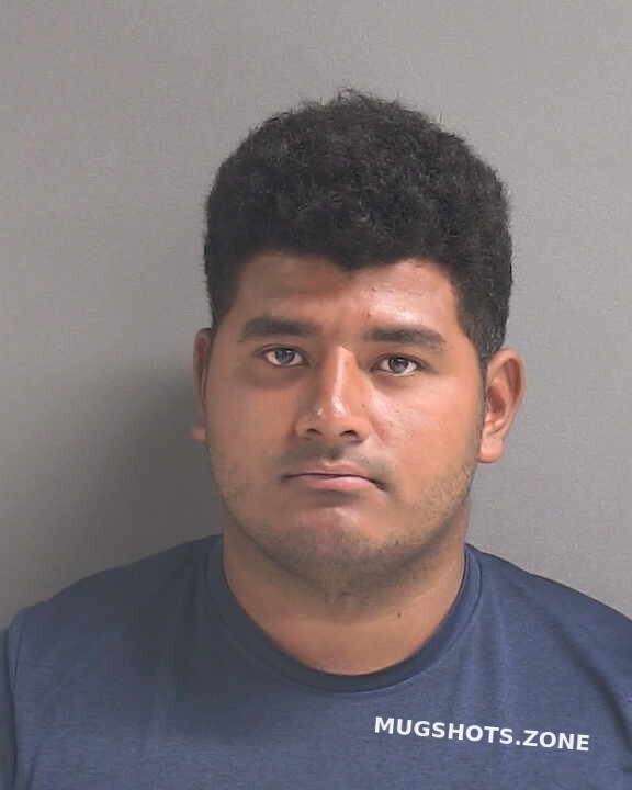 Ponce Ulloa Josue Volusia County Mugshots Zone