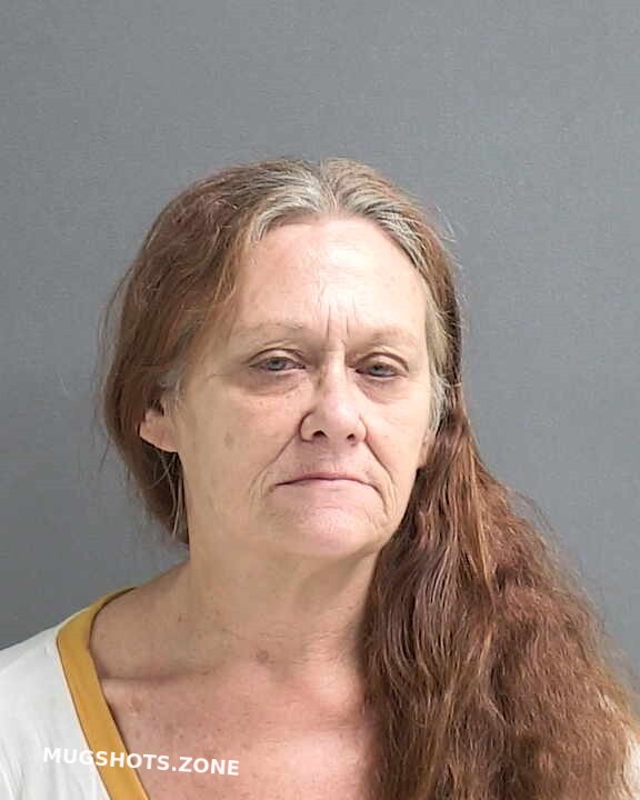 Chestnut Emily Volusia County Mugshots Zone