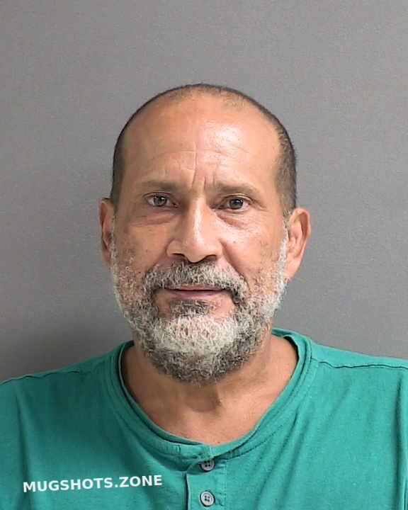 Suarez Rosa Ernesto Volusia County Mugshots Zone