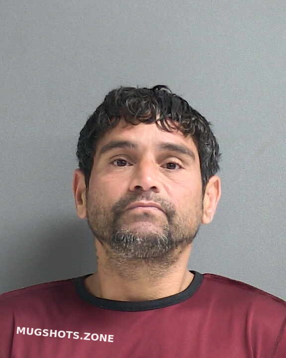 Medina Mercado Miguel Angel Volusia County Mugshots Zone