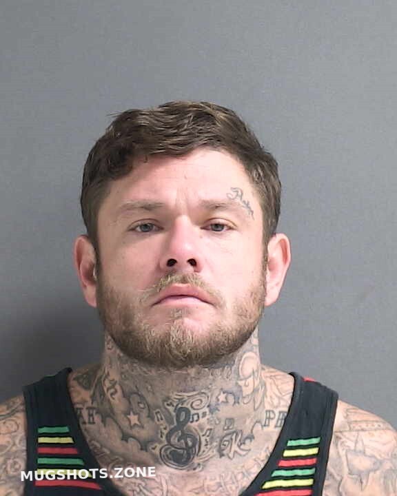 Sistrunk Ethan T Volusia County Mugshots Zone