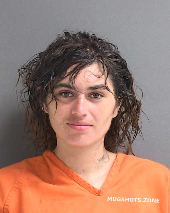 Hudson Hailey Nichole Volusia County Mugshots Zone