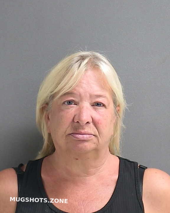 Smith Cynthia Ann Volusia County Mugshots Zone