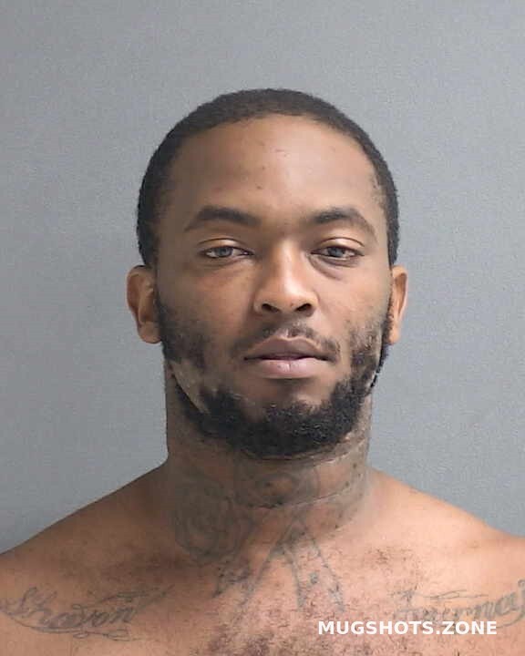 Mitchell Louis Volusia County Mugshots Zone