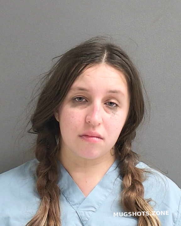 Lee Dana Volusia County Mugshots Zone