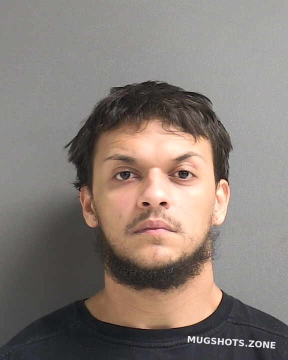 Petersen Anthony Michael Volusia County Mugshots Zone