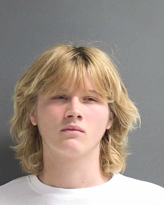 Dionne Trent John Volusia County Mugshots Zone