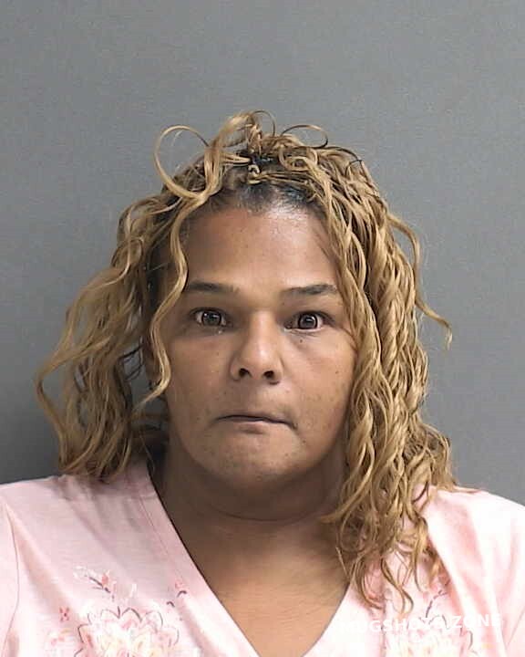 Quezada Sylvia Yvonne Volusia County Mugshots Zone