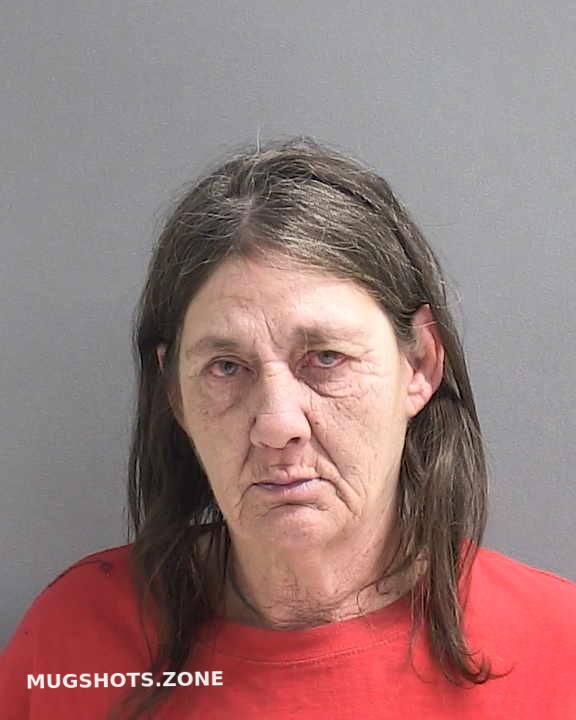 Johnson Janice Lee Volusia County Mugshots Zone