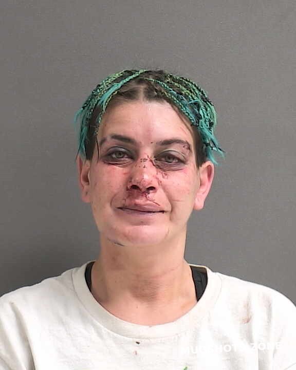 Rojas Christina Francisca Volusia County Mugshots Zone