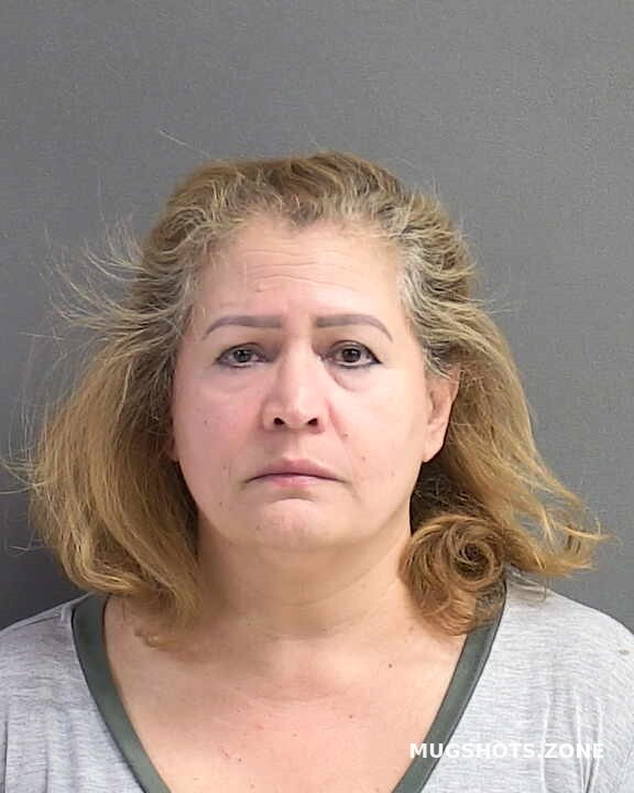 Henriquez Barbara Christina Volusia County Mugshots Zone