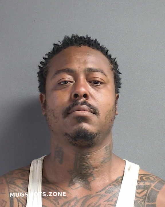 Avance Ron Volusia County Mugshots Zone