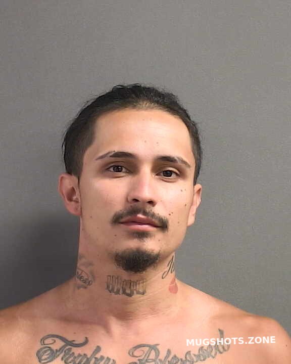 MALDONADO CHRISTOPHER LUIS 05 16 2024 Volusia County Mugshots Zone