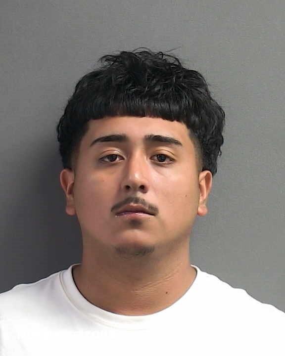 Martinez Jonathan Volusia County Mugshots Zone