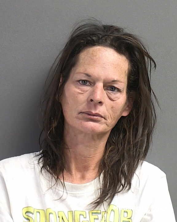 FIELDS SHERRI BETH 05 30 2024 Volusia County Mugshots Zone