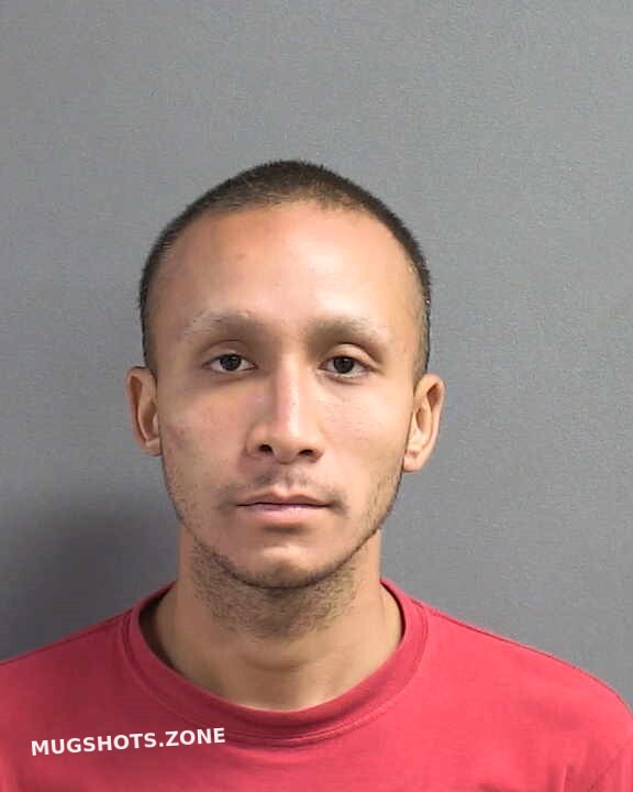 Rivas Jamie Volusia County Mugshots Zone