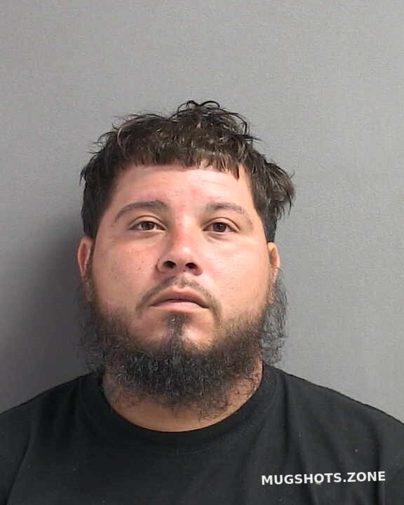 Maldonado Angel Luis Volusia County Mugshots Zone