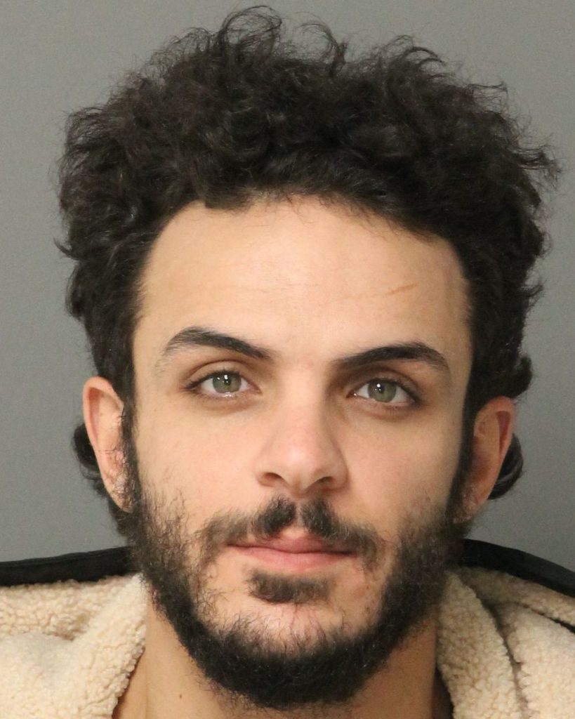 Allan Mohammad Fayek Wake County Mugshots Zone