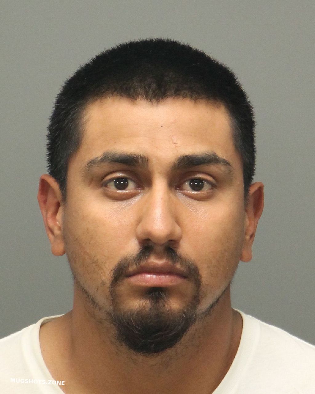 Solorzano Jose Salvador Wake County Mugshots Zone