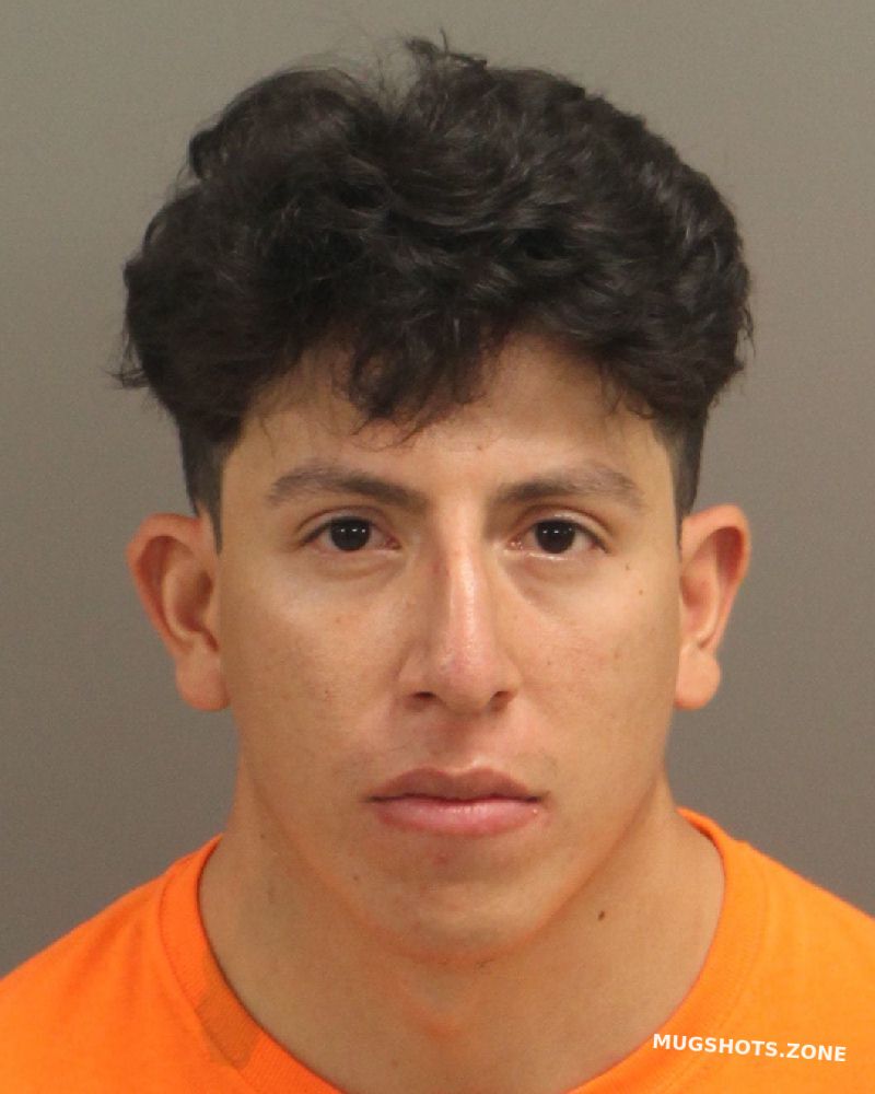 Jaimes Alejo Ricardo Manuel Wake County Mugshots Zone