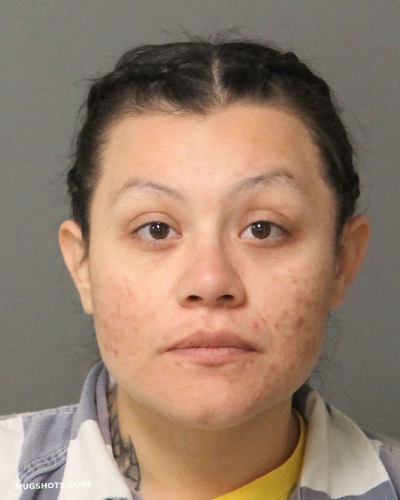 Nava Velasco Juanita Alejandra Wake County Mugshots Zone