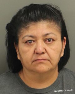 GARCIA NORATO ROSALINDA 02 07 2023 Wake County Mugshots Zone