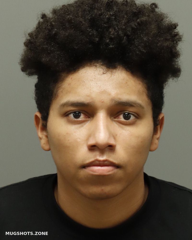 Marin Sotelo Rolando Wake County Mugshots Zone