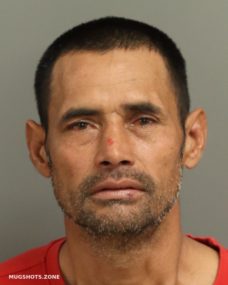 ANDINO VALLESTER ALVER OLEGA 03 28 2024 Wake County Mugshots Zone