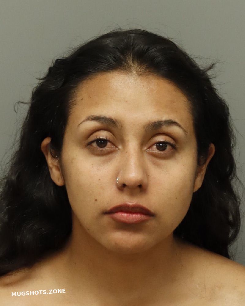 Cisneros Andrade Andrea Caro Wake County Mugshots Zone