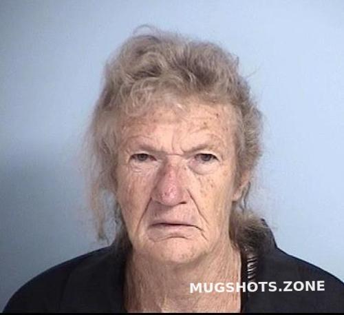 Hunt Brenda Hamill Walton County Mugshots Zone