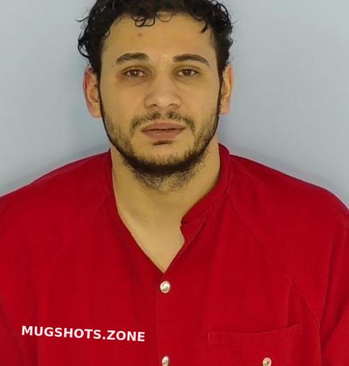 Lacatus Vasile Walton County Mugshots Zone