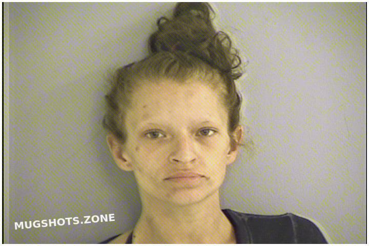 Woodworth Tamara Warren County Mugshots Zone