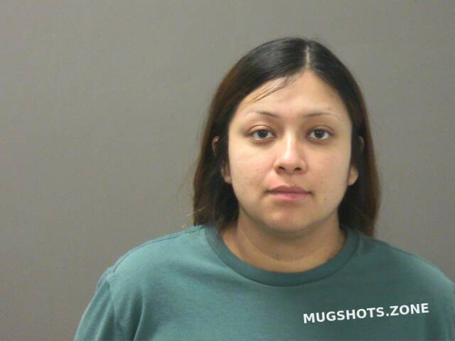 Ortega Isabel Washington County Mugshots Zone