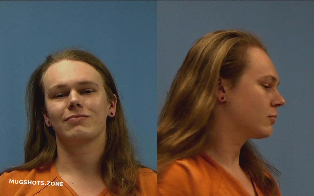 Evans Colin Michael Williamson County Mugshots Zone