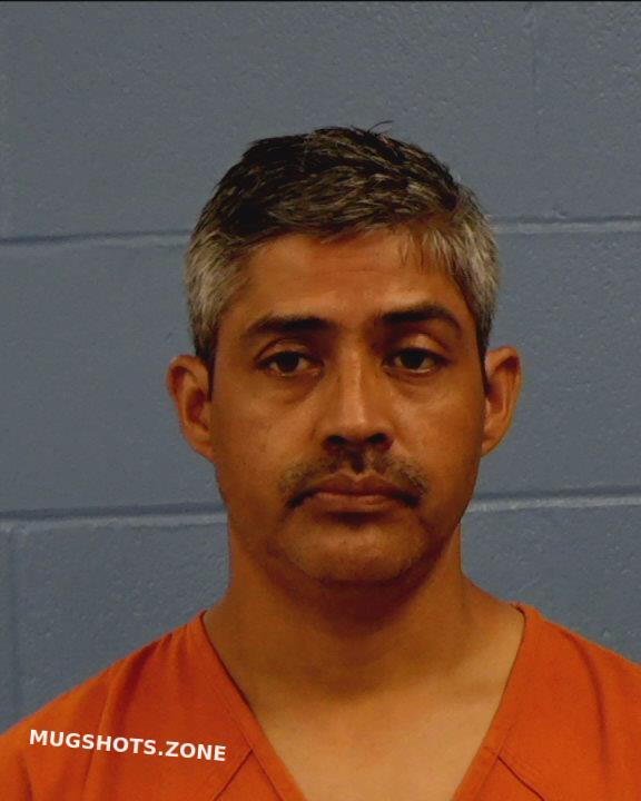 Quevedo Flores Jose Gilbeto Williamson County Mugshots Zone