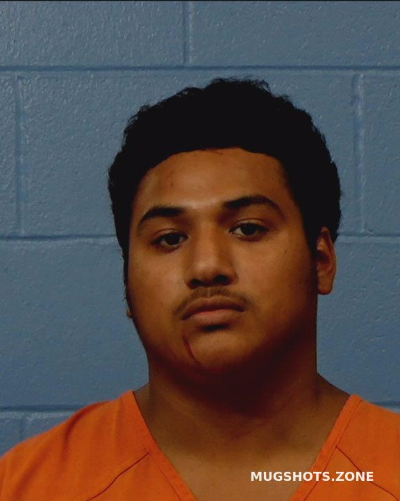 VENCES JAVIER GONZALES 05 02 2021 Williamson County Mugshots Zone